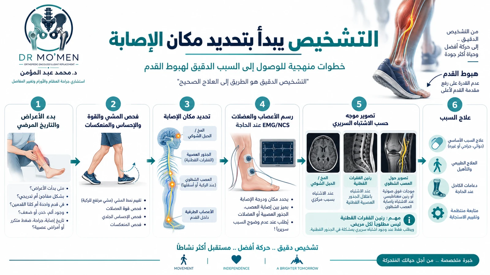 إنفوجرافيك يوضح خطوات تشخيص سقوط القدم من التاريخ والفحص العصبي إلى EMG/NCS والتصوير الموجّه حسب موضع الإصابة المتوقع.