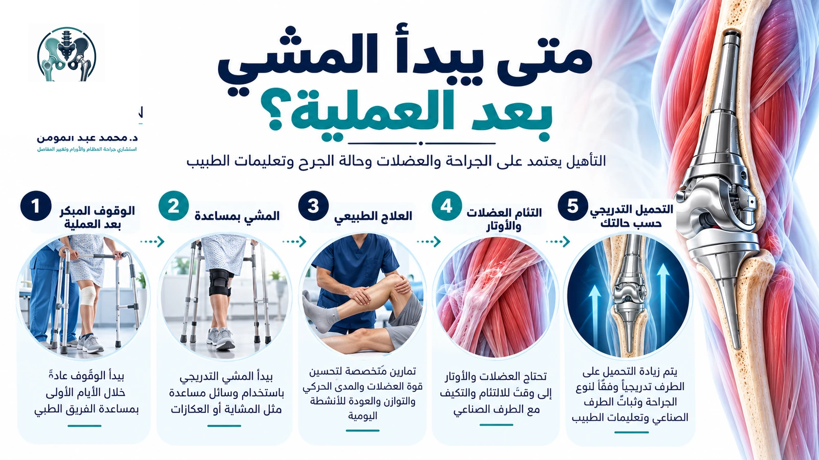 إنفوجرافيك يوضح الوقوف والمشي المساعد والعلاج الطبيعي والتحميل التدريجي بعد الجراحة