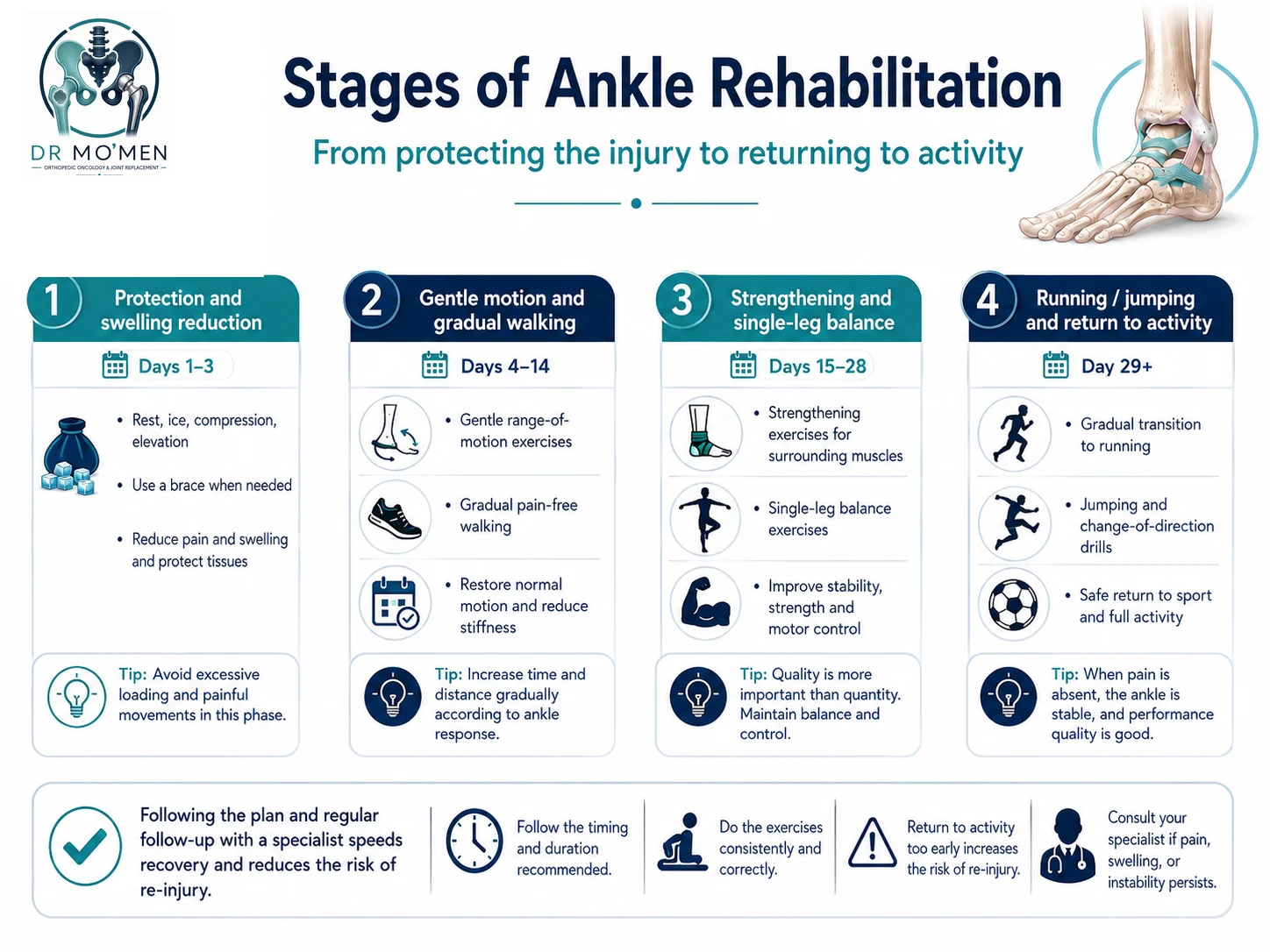 Four stages of ankle rehabilitation from swelling control and gentle movement to strengthening and return to sport.