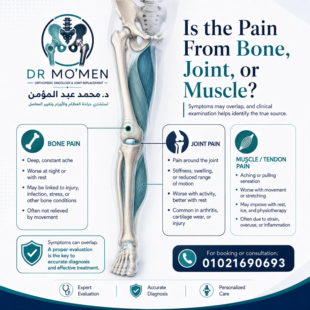 Infographic comparing bone pain, joint pain, and muscle or tendon pain